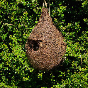 Wildlife World Giant Robin Nest Pocket image 0