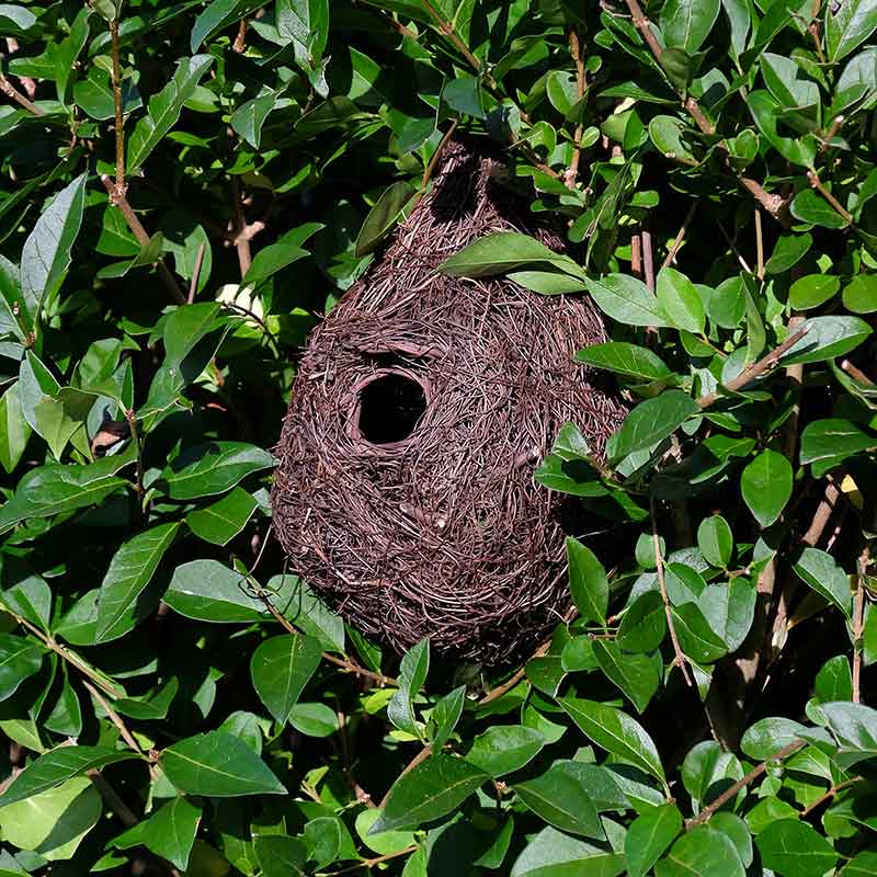 Wildlife World Giant Roost Nest Pocket image 0