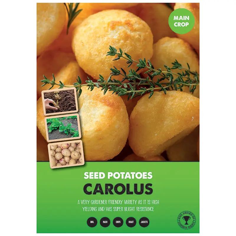 Carolus Main Crop Seed Potatoes image 0