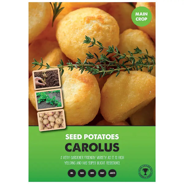 Carolus Main Crop Seed Potatoes image 0