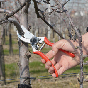 FELCO Model 2 Original Bypass Secateurs image 2