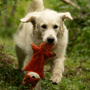 Petface Saffia Squirrel Dog Toy image 4