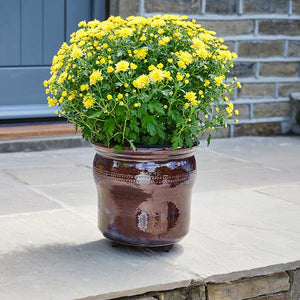 Pot-Mate Discreet Plant Pot Feet image 3