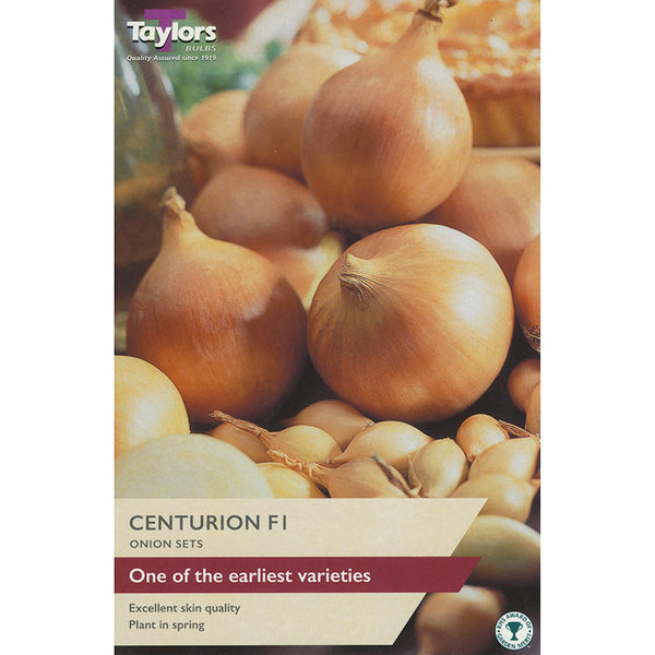 Centurion F1 Onion Sets (Pack of 50) image 0