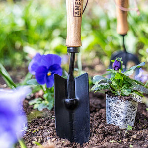 AMES Hand Transplanter Carbon Steel image 1