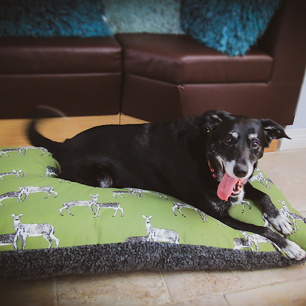 Snug & Cosy Sage Deer Print Lounger image 1