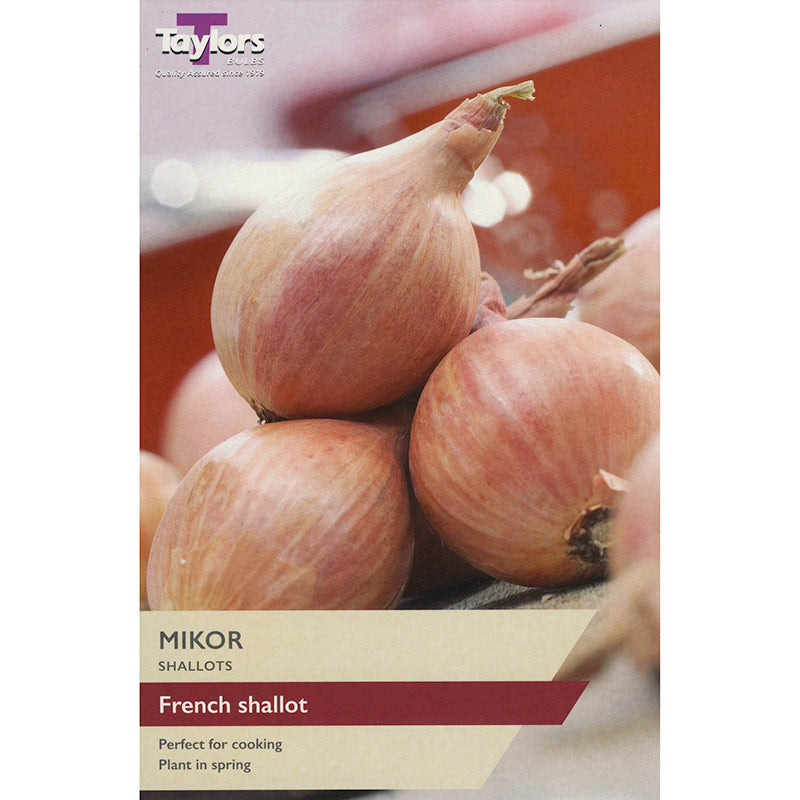 Mikor French Shallot (10 Sets) image 0
