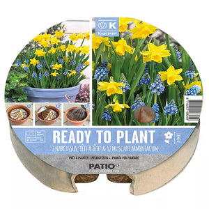 Ready to Plant Plant-O-Mat Narcissus & Muscari 24cm/9.5" (19 bulbs) image 0