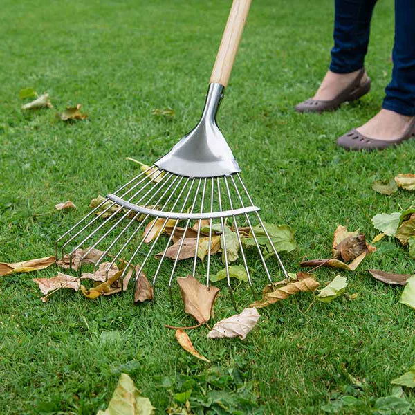 Kent & Stowe Stainless Steel Long Handled Lawn & Leaf Rake image 1