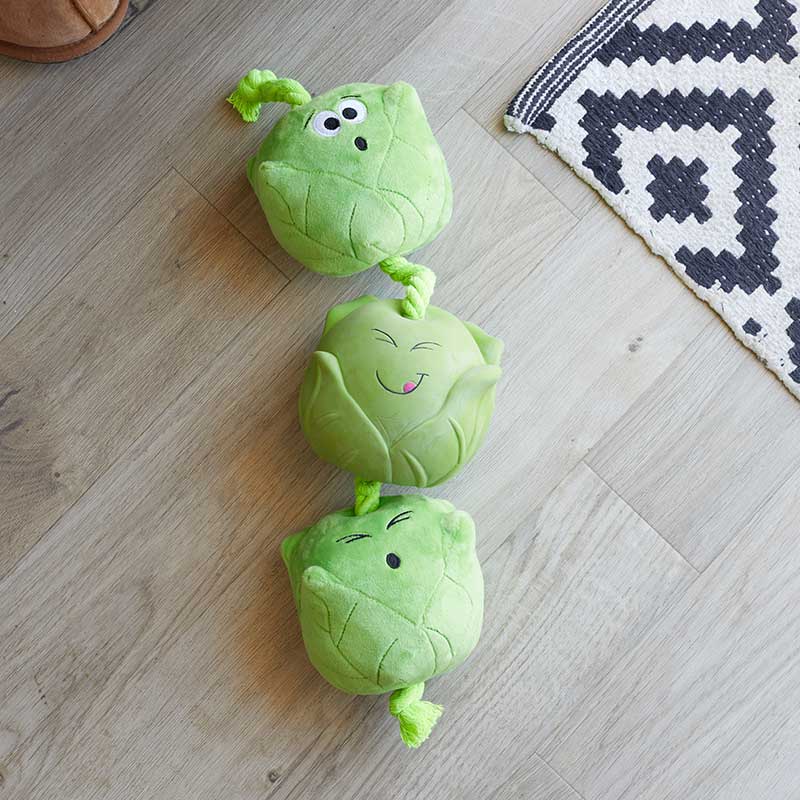 Zoon Tugga Sprouts image 0