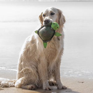 Petface Tessi Turtle Dog Toy image 1
