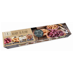 Balcon-O-Mat Onion & Shallot Mixed Tray image 0