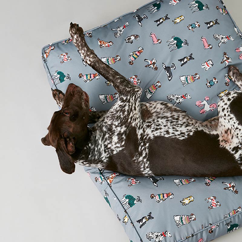 Joules Rainbow Dogs Mattress image 0