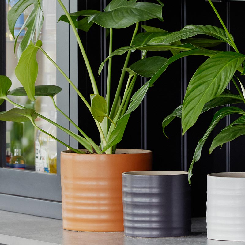 Ivyline Hadleigh Matt Indoor Planter Range image 0