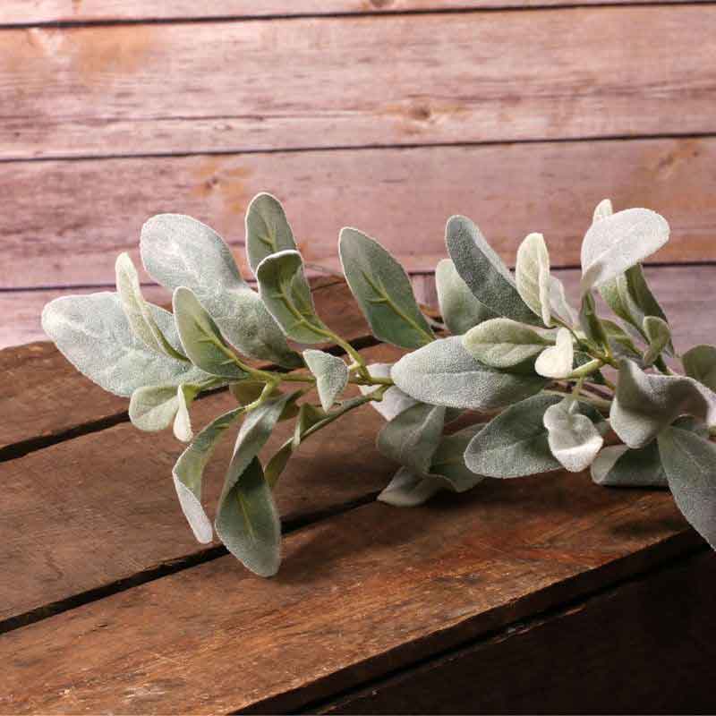 Green Lambs Ear Stem (70cm) image 0