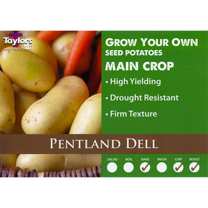 Pentland Dell Main Crop Seed Potatoes image 0