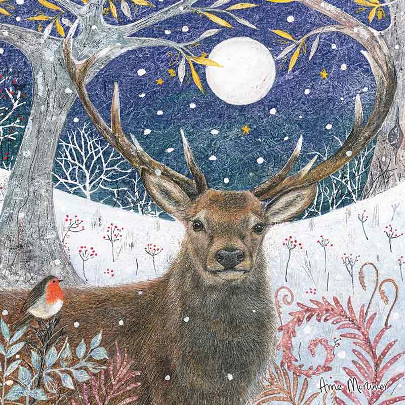 RSPB Small Square Christmas Cards - Stag & Robin (Pack of 10) image 0