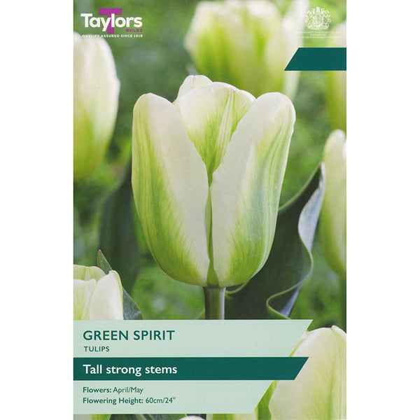Tulip ‘Green Spirit’ (5 Bulbs) image 0
