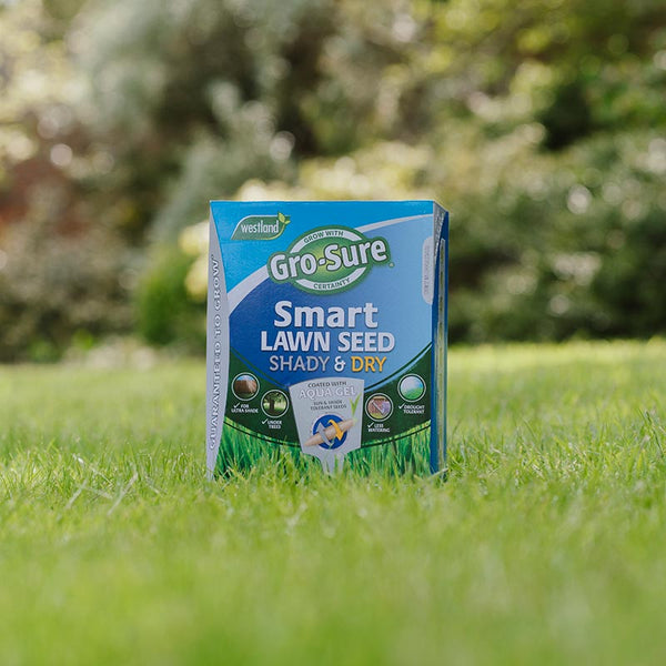 Westland Gro-Sure Smart Lawn Seed Shady & Dry - 20m sq. image 3