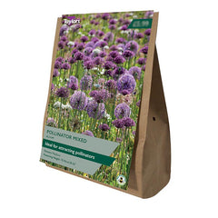 Allium Pollinator Mixed (12 Bulbs) image 0
