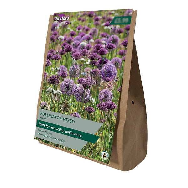 Allium Pollinator Mixed (12 Bulbs) image 0