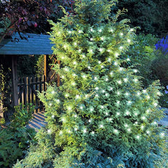 Cole & Bright 100 White LED String Lights image 0