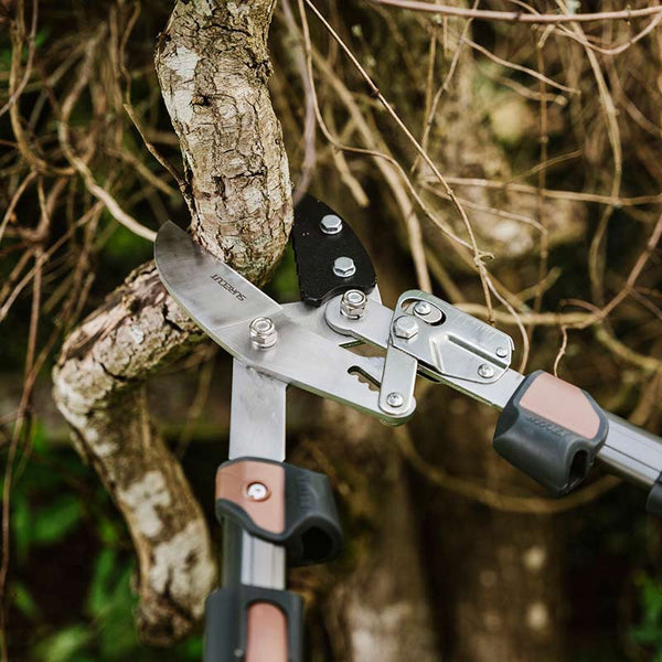 Kent & Stowe SureCut Extra Power Hard Wood Ratchet Loppers image 1