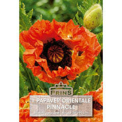 Papaver orientale 'Pinnacle' (1 bulb) image 0