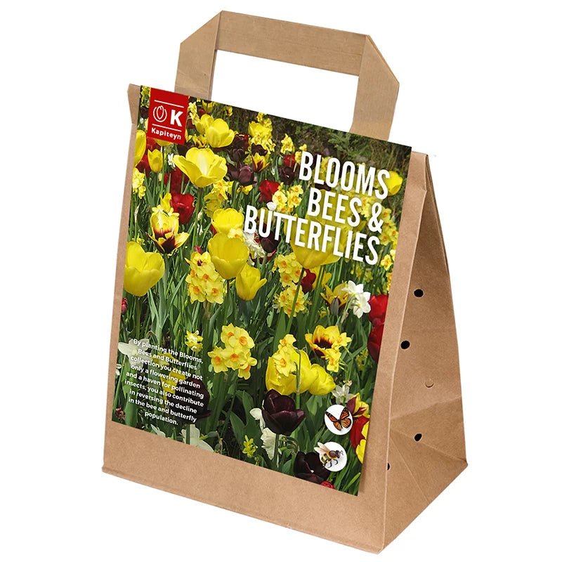 Blooms, Bees & Butterflies Bulb Mix 'Yellow & Red' (25 bulbs) image 0