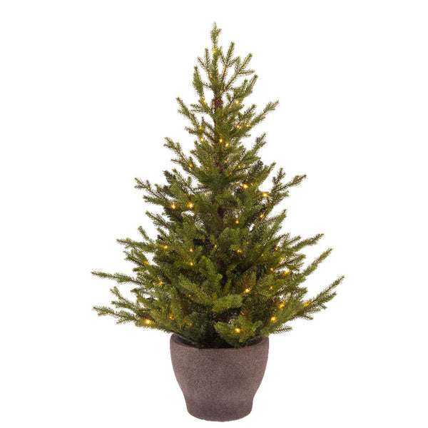 Everlands Battery-Operated Norway Spruce Pre-Lit Christmas Tree - 3ft image 0