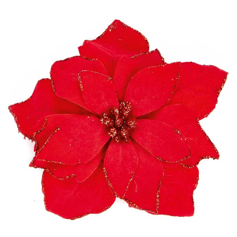 Premier Red Poinsettia Clip image 0