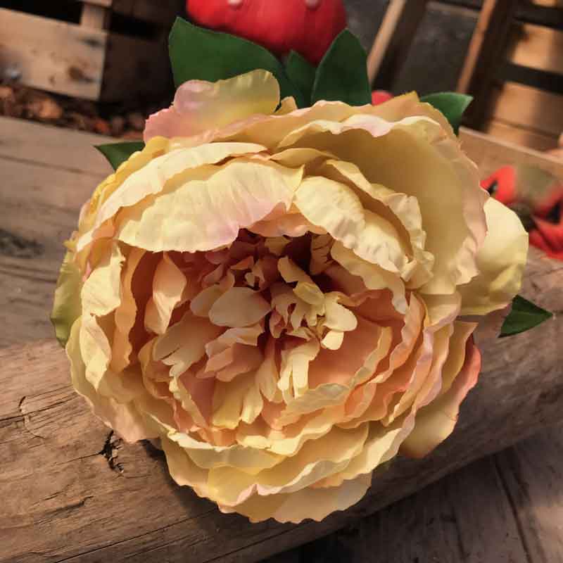 Single Cream Blush Peony Stem (71cm) image 0