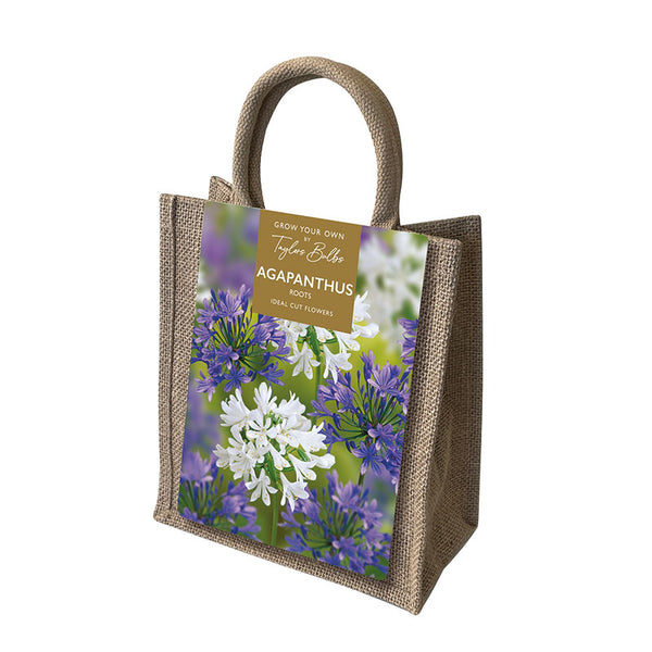 Agapanthus Jute Gift Bag Set (3 Roots) image 0