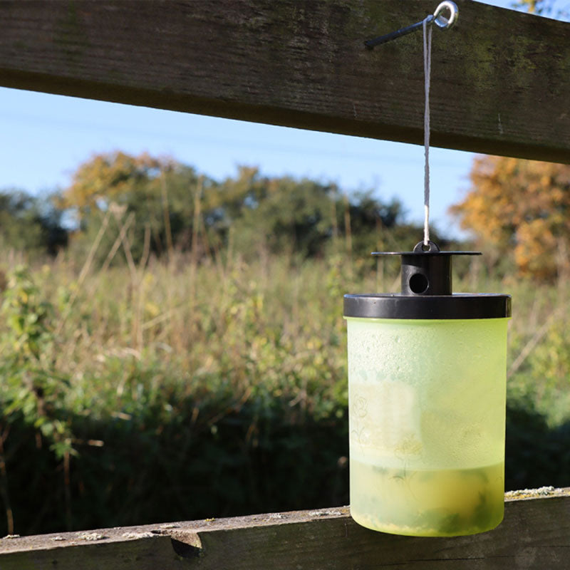 Zero In Wasp Trap with Bait image 0