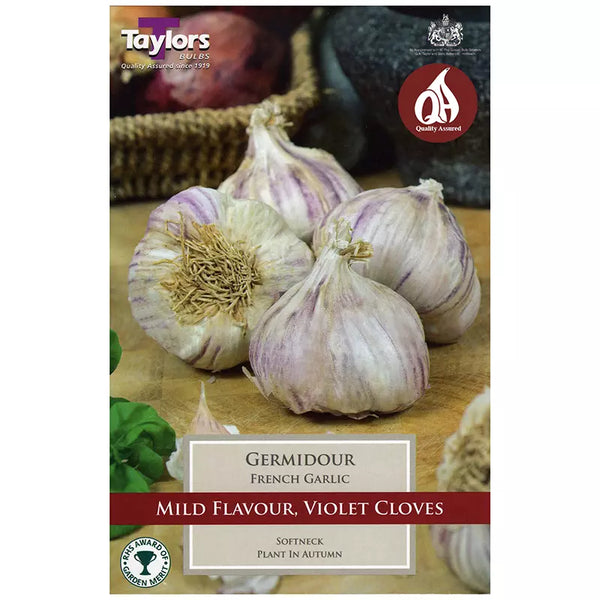 'Germidour' French Garlic (2 Bulbs) image 0