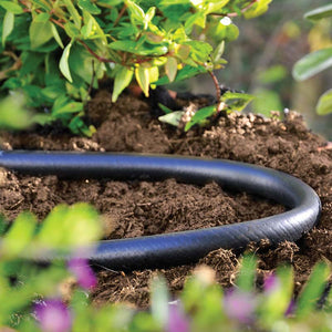 Hozelock Flexi Hose (20m) image 1