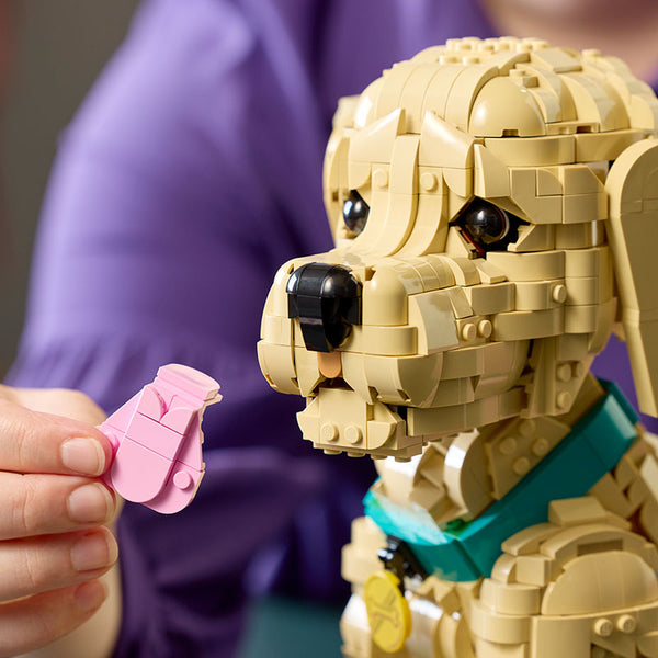 LEGO® Icons Golden Retriever Puppy (11384) image 16