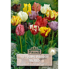 Parrot Mixed Tulips (10 Bulbs) image 0
