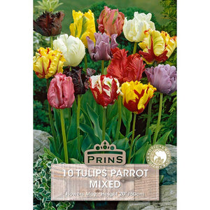 Parrot Mixed Tulips (10 Bulbs) image 0