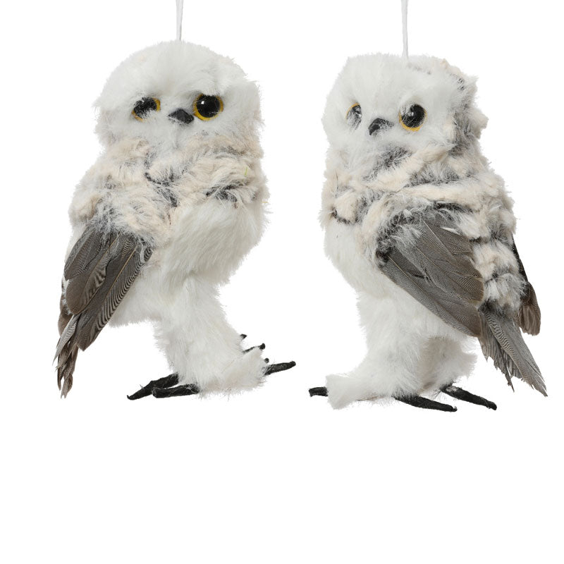 Decoris Hanging Owl with Feathers (Assorted Designs) image 0