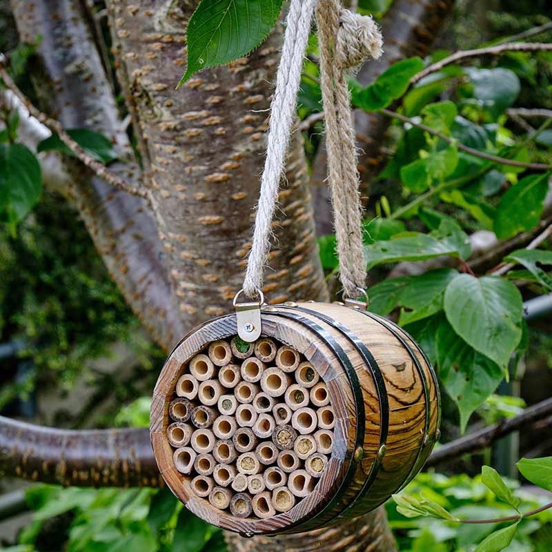 Wildlife World Bee Barrel image 0
