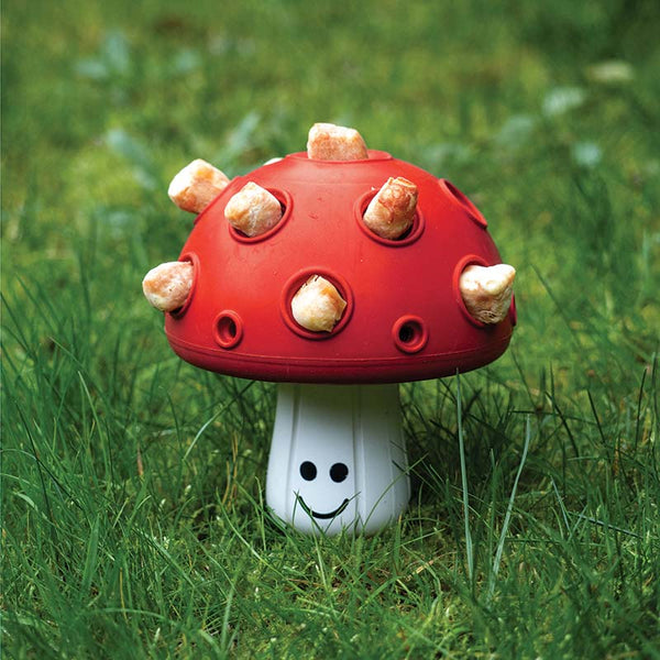 Zoon Treat Dispensing Shroom image 3