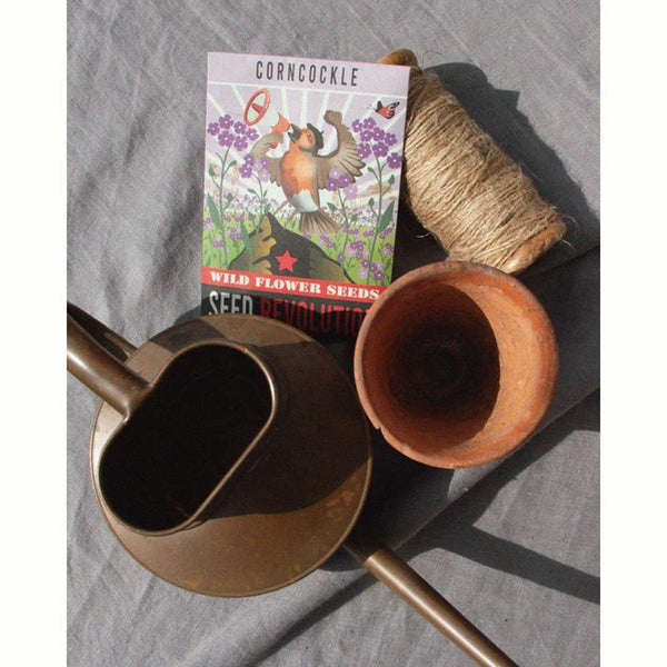Corncockle Native Wild Flower Seeds (1 Packet) image 1