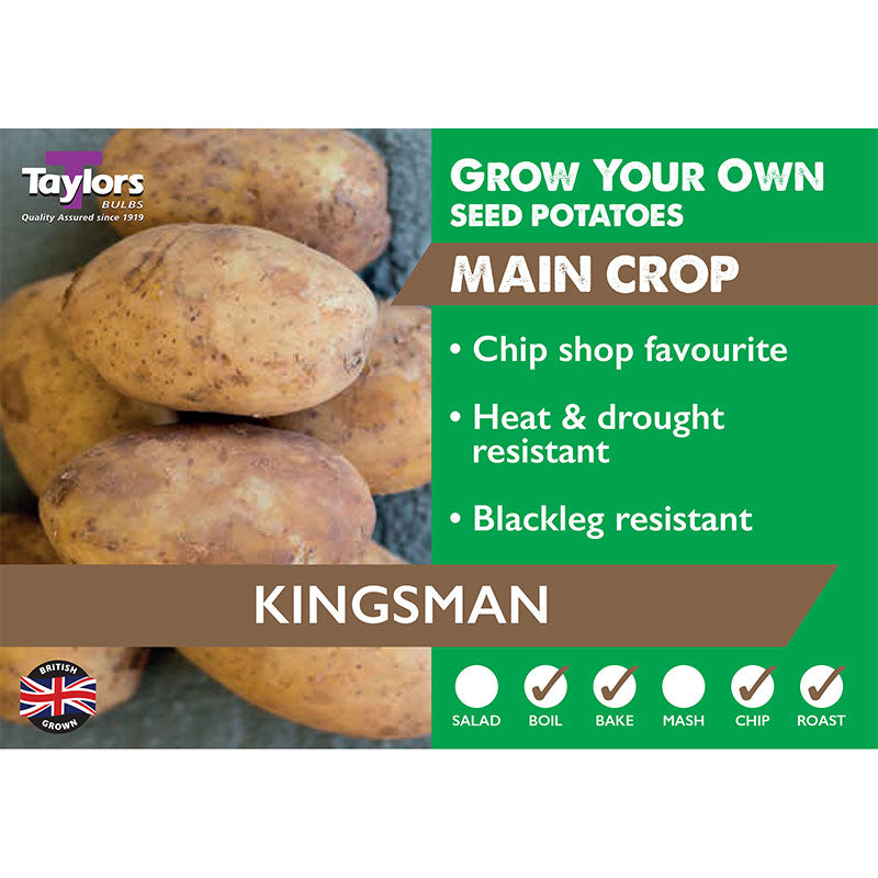 Kingsman Main Crop Seed Potatoes (2kg Bag) image 0