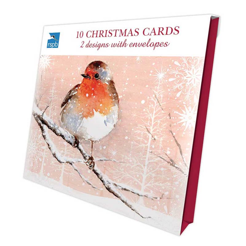 RSPB Luxury Christmas Cards - Snow Is Falling (Pack of 10) image 0