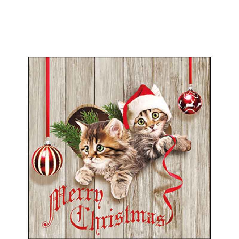 Ambiente Paper Cocktail Napkins - Curious Kittens (Pack of 20) image 0