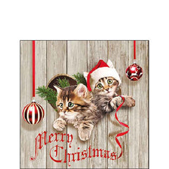 Ambiente Paper Cocktail Napkins - Curious Kittens (Pack of 20) image 0