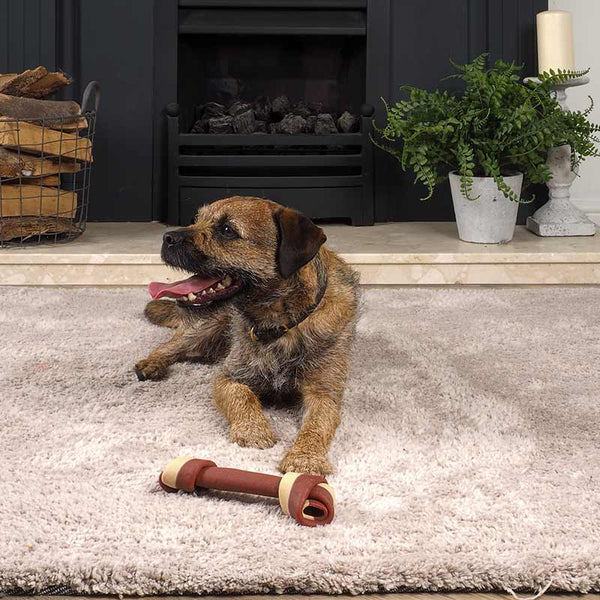 Zoon Rawhide Free 2 Duck, Cranberry & Pumpkin Mega Bones image 3
