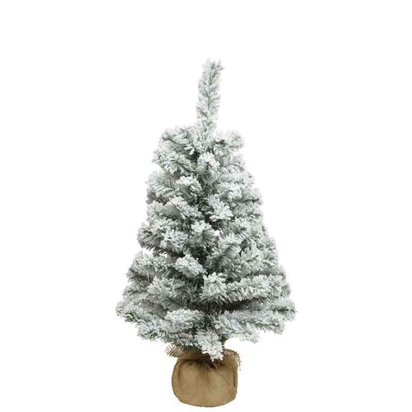 Everlands Mini Snowy Imperial Pine image 2