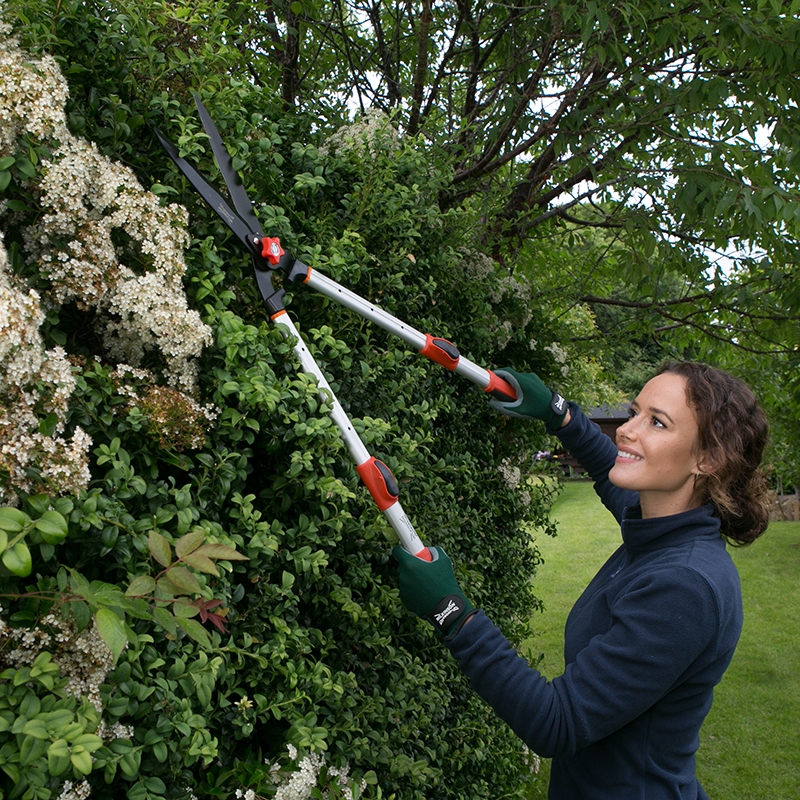 Wilkinson Sword Telescopic Hedge Shears image 0